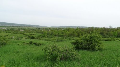 Перспективная ООПТ Капустянская лесостепь