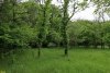 Перспективная ООПТ Северо-Кутокский лес