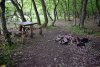  "Элементы благоустройства" в перспективной ООПТ Северо-Кутокский лес
