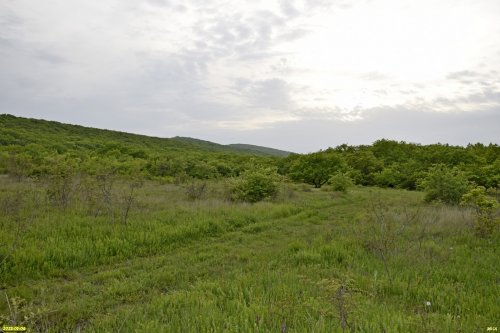 Перспективная ООПТ Южно-Кутокский лес
