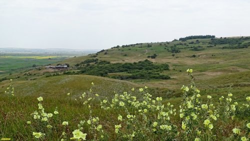 Перспективная ООПТ Урочище Разнокол