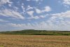 Перспективная ООПТ Урочище Разнокол
