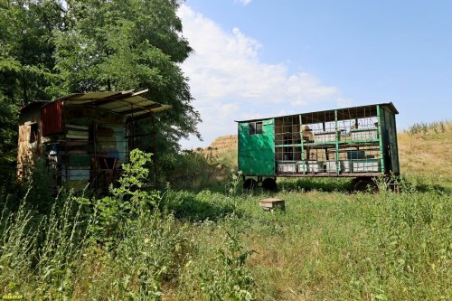 Пасека в перспективной ООПТ Джигинские обрывы