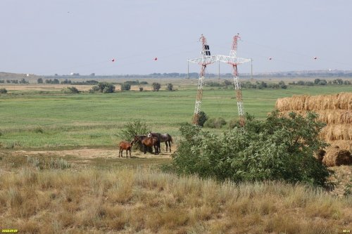 Перспективная ООПТ Джигинские обрывы