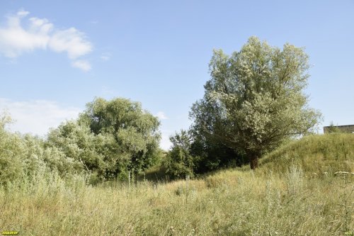 Перспективная зелёная зона в селе Джигинка (дополнительная-4)
