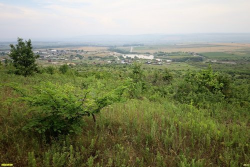 Перспективная ООПТ Гайкодзорский лес