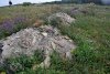 Перспективная ООПТ Поляны хребта Сенетх