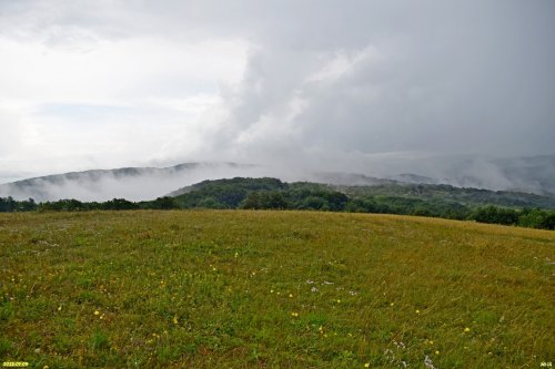 Перспективная ООПТ Поляны хребта Сенетх