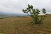 Перспективная ООПТ Верхнебаканская нагорная степь