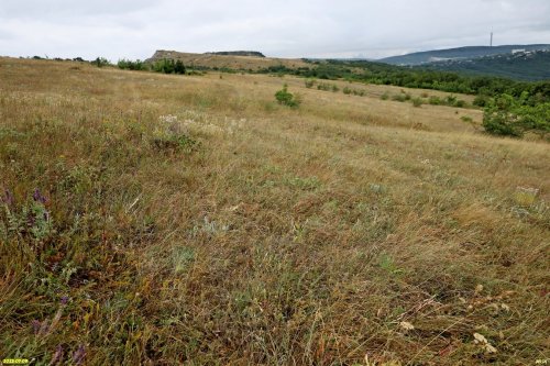 Перспективная ООПТ Верхнебаканская нагорная степь
