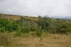 Перспективная ООПТ Верхнебаканская нагорная степь