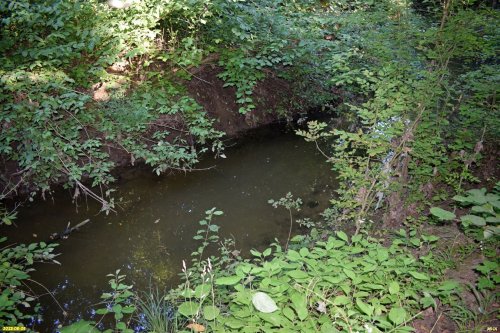 Река Водогай в верхнем течении в перспективной ООПТ Водогайский лес