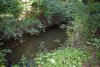 Река Водогай в верхнем течении в перспективной ООПТ Водогайский лес