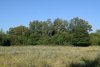 Перспективная ООПТ Водогайский лес