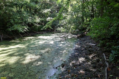 Река Водогай в верхнем течении в перспективной ООПТ Водогайский лес