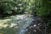 Река Водогай в верхнем течении в перспективной ООПТ Водогайский лес