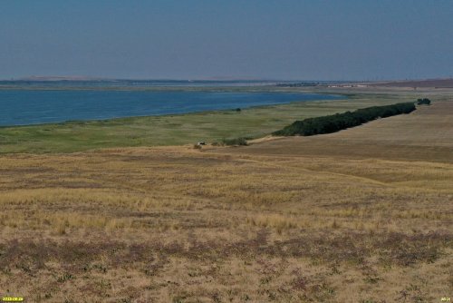 Лесополоса в ООПТ местного значения Гора Бориса и Глеба