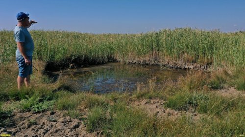Небольшой рукотворный водоём в ООПТ местного значения Гора Бориса и Глеба