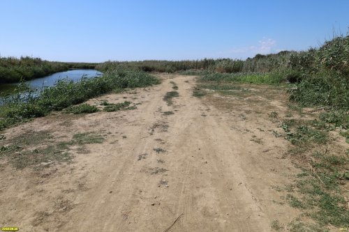 Перспективная зелёная зона в станице Ахтанизовской (8)