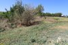 Перспективная зелёная зона в станице Ахтанизовской (8)