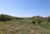 Перспективная зелёная зона в станице Ахтанизовской (11)