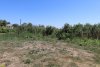 Перспективная зелёная зона в станице Ахтанизовской (11)