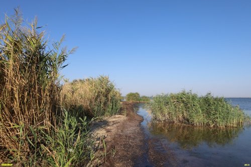 Перспективная ООПТ Фанагорийский берег