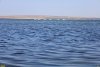 Белые гуси над морем возле перспективной ООПТ Фанагорийский берег