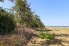 Перспективная ООПТ Таманский лесопарк