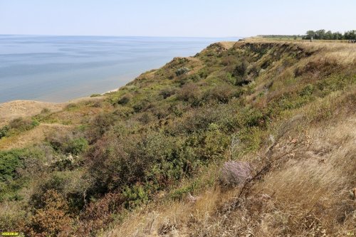 Перспективная ООПТ Азовское взморье