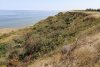 Перспективная ООПТ Азовское взморье