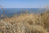 Перспективная ООПТ Азовское взморье