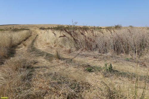 Перспективная ООПТ Гора Педенкова