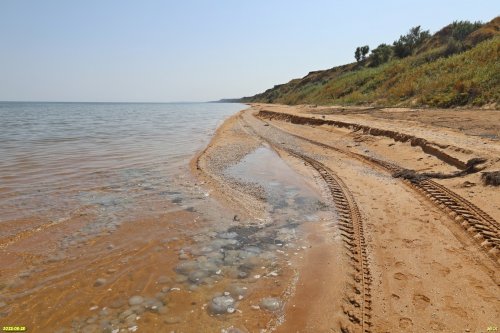 Побережье Азовского моря в перспективной ООПТ Гора Педенкова