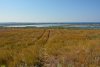 Перспективная ООПТ Пересыпская сопка