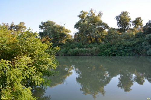 Перспективная ООПТ Лес Казачий ерик