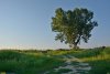 Перспективная ООПТ Лес Казачий ерик