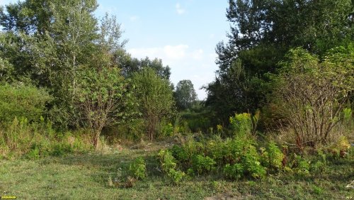Перспективная ООПТ Пшишский остров