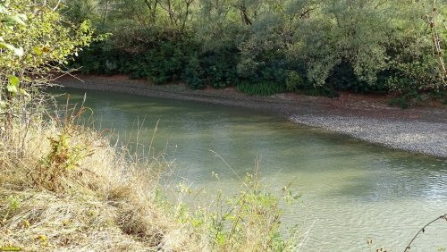 Река Пшиш в перспективной ООПТ Пшишский остров