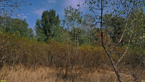 Перспективная ООПТ Великовечненский лес