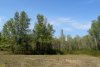 Перспективная ООПТ Великовечненский лес