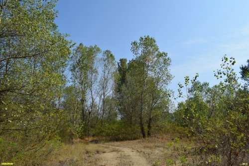 Перспективная ООПТ Великовечненский лес