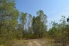 Перспективная ООПТ Великовечненский лес
