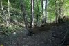 Перспективная зелёная зона в посёлке Новые Поляны (1)