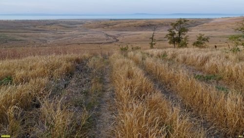 Перспективная ООПТ Козловские балки