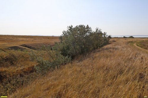 Перспективная ООПТ Фонталовские балки
