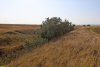 Перспективная ООПТ Фонталовские балки