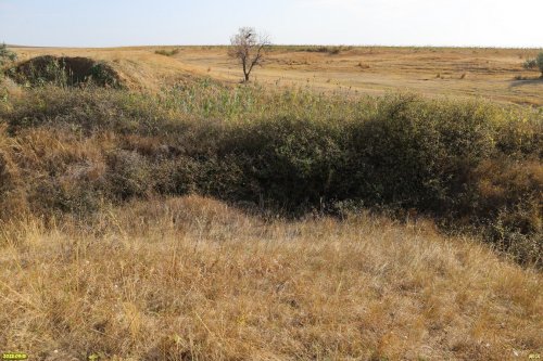 Перспективная ООПТ Фонталовские балки