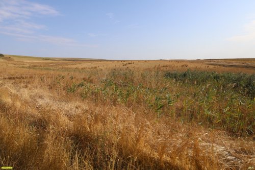 Перспективная ООПТ Фонталовские балки