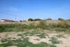 Перспективная зелёная зона в посёлке Кучугуры (13)